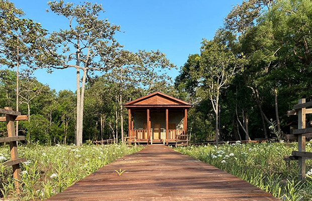 Mountain Jungle Trek in Virachey National Park