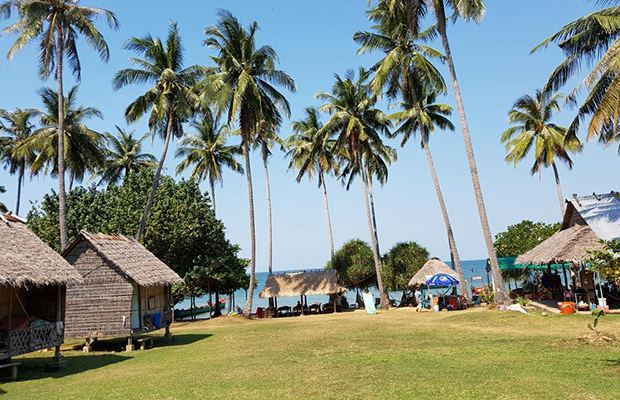 Countryside & Rabbit Island Tour