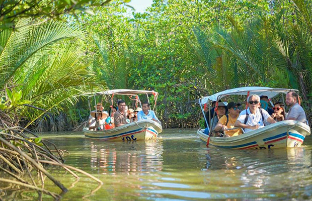 Full-Day: Prince Island and Mangrove Forest Private Day Tour