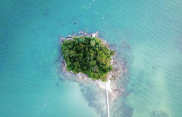 Full-Day: Prince Island and Mangrove Forest Private Day Tour
